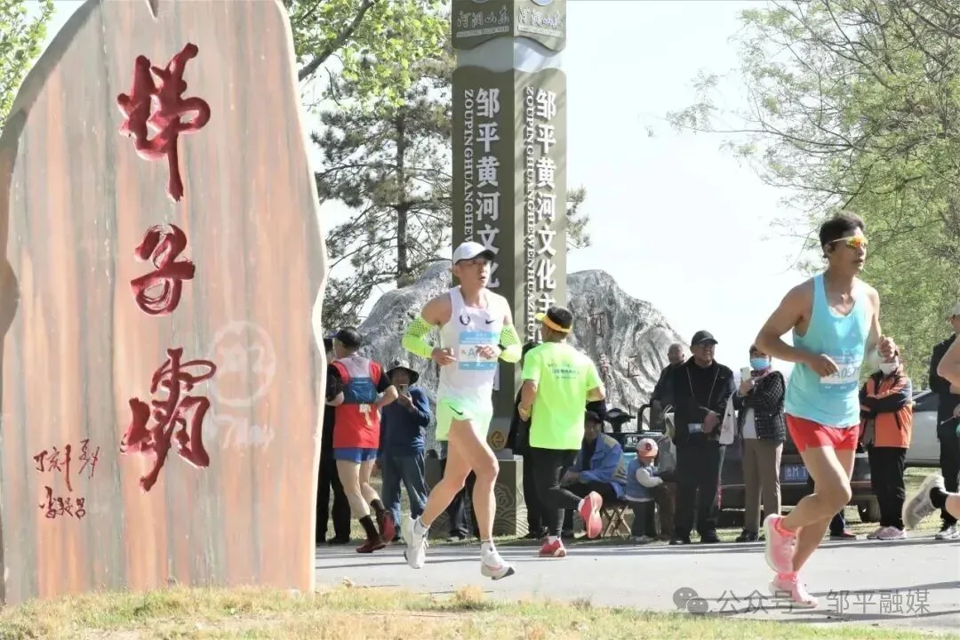 码头镇百年枣园图片3