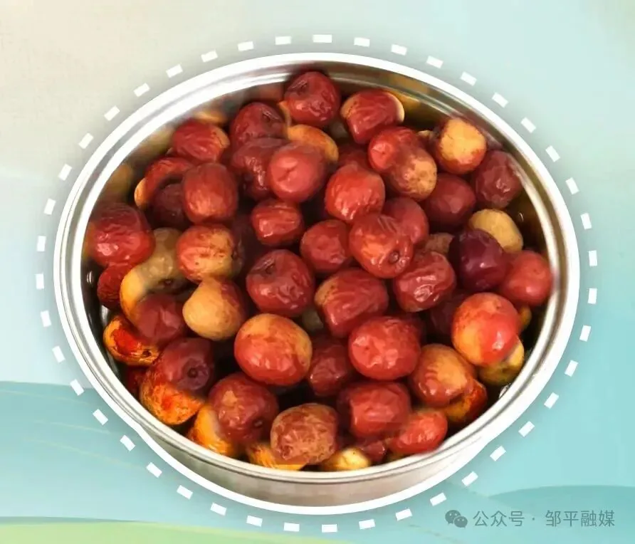 码头镇百年枣园图片2