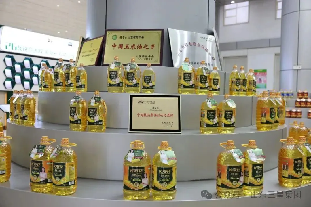 长寿花图片5
